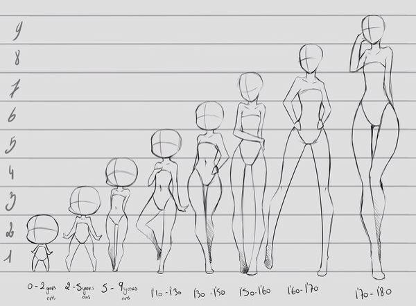 Featured image of post Anime Height Chart Base