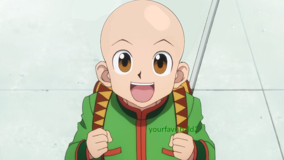 Featured image of post Bald Hxh Characters