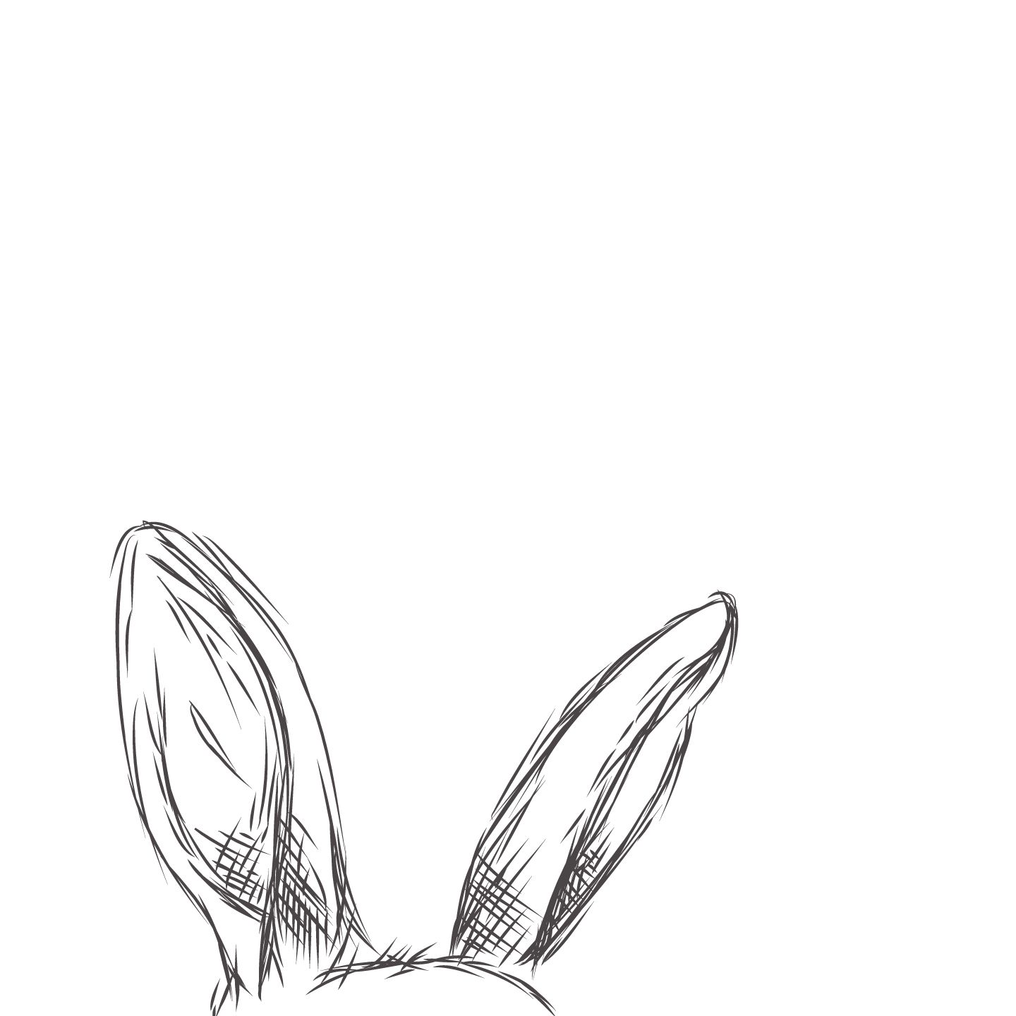 Featured image of post Bunny Ear Drawing Reference