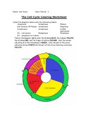 Featured image of post Cell Cycle Coloring Worksheet Answers