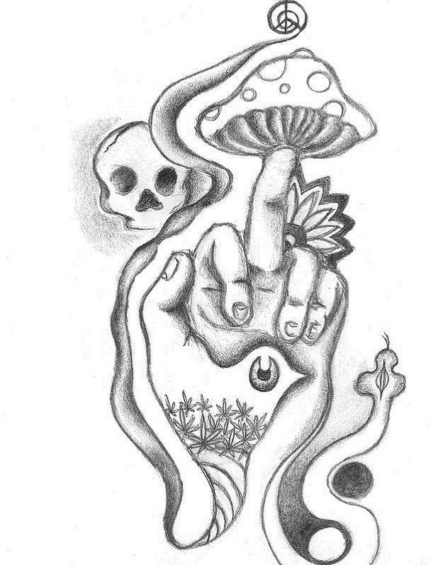 Featured image of post Coloring Pages Stoner Mushroom Drawings Easy