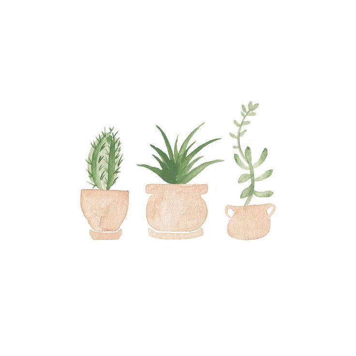 Featured image of post Cute Plant Drawing Aesthetic