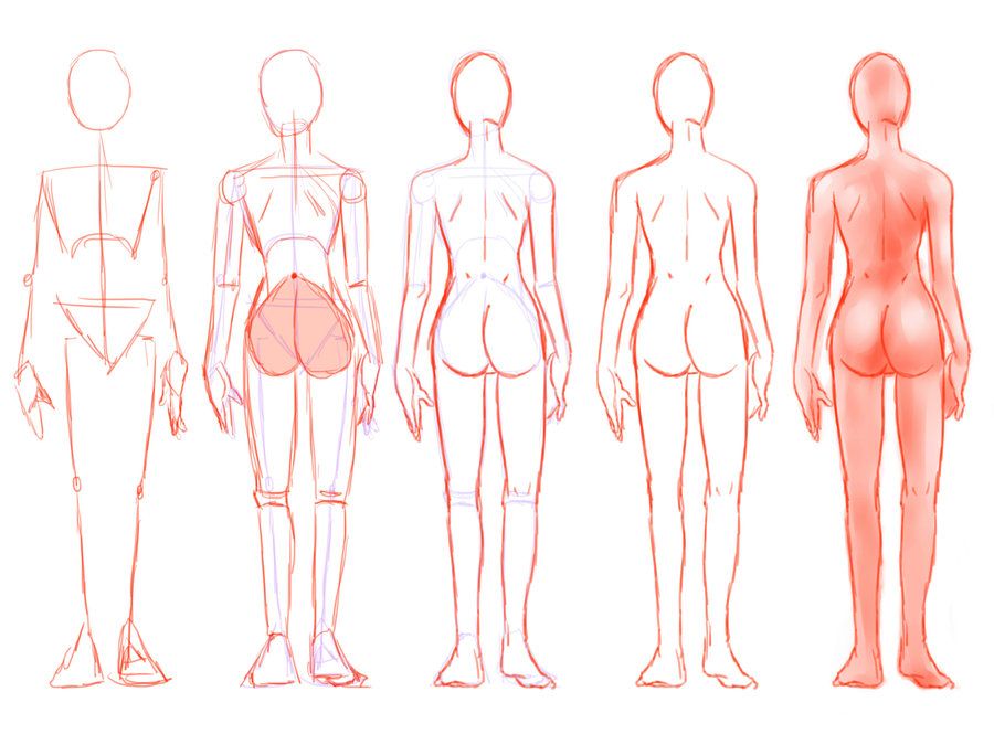 Featured image of post Female Body Reference Drawing Back