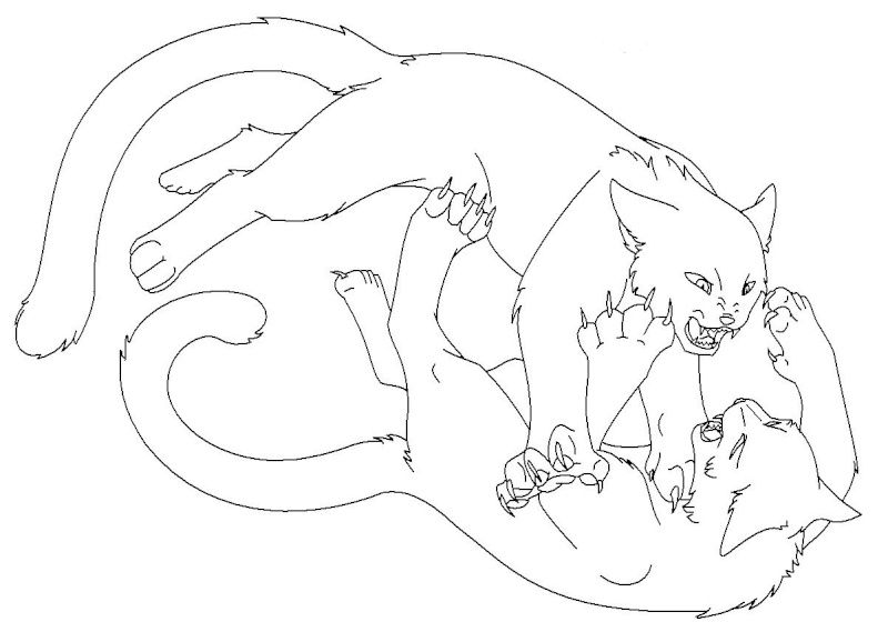 Featured image of post Fighting Warrior Cat Coloring Pages