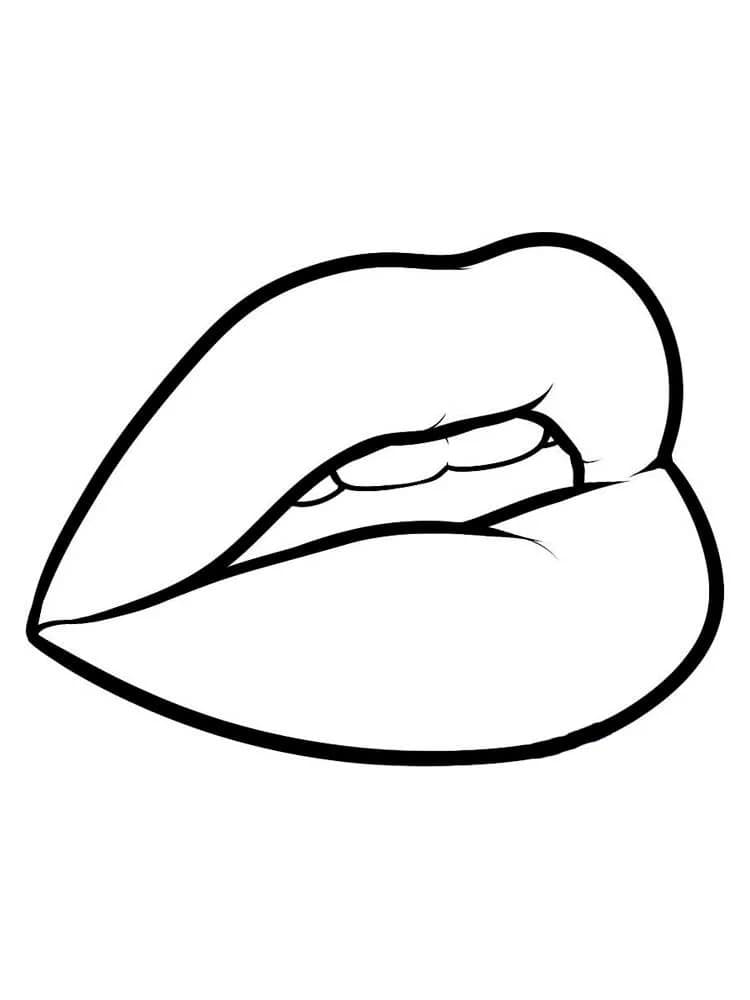 Featured image of post Free Lip Coloring Pages