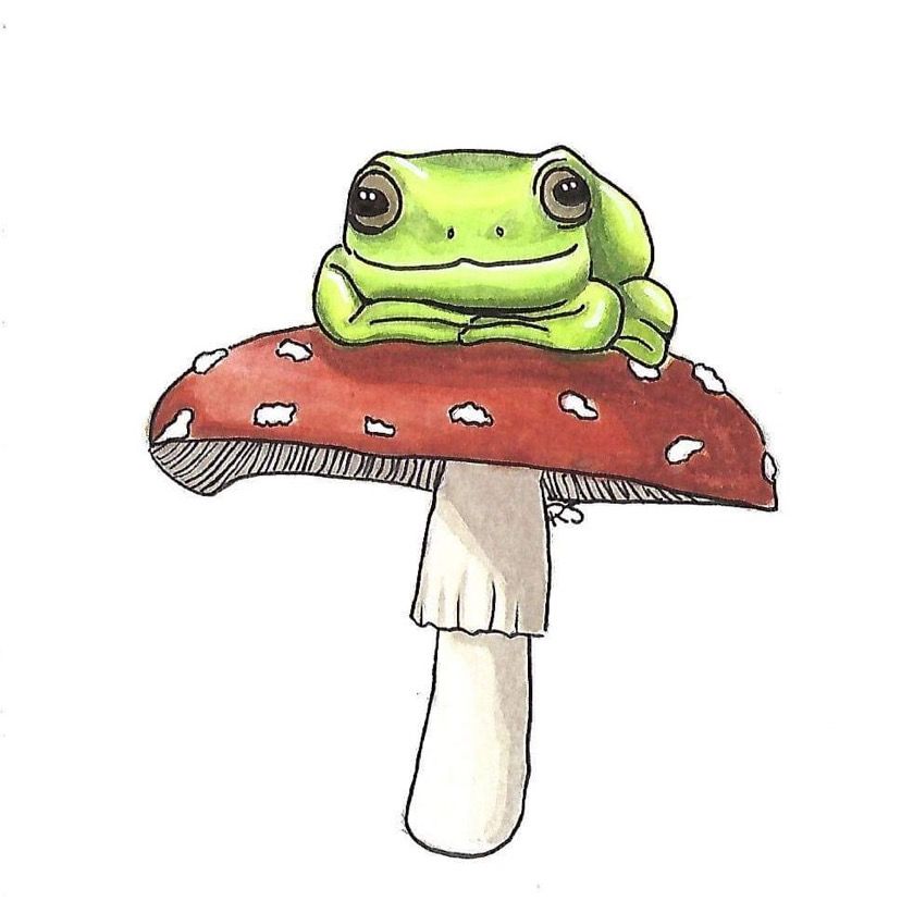 Featured image of post Frog And Mushroom Drawing Aesthetic