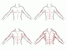 Featured image of post How To Draw Abs Step By Step