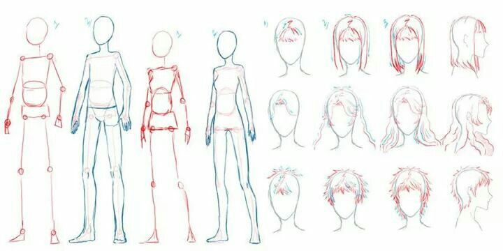 Featured image of post How To Draw Anime Body Male And Female