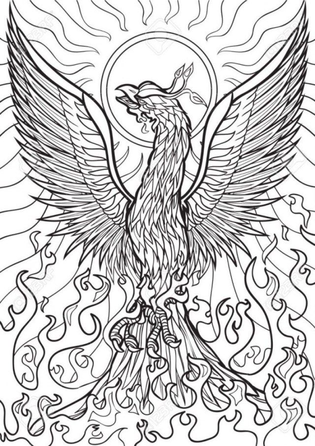 Featured image of post Pheonix Coloring Pages